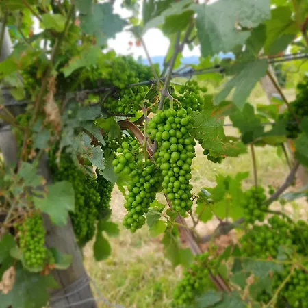 Dom wakacyjny La Maisonnette Bleue, Eco-logis Equipe De Toilettes Seches Rosheim