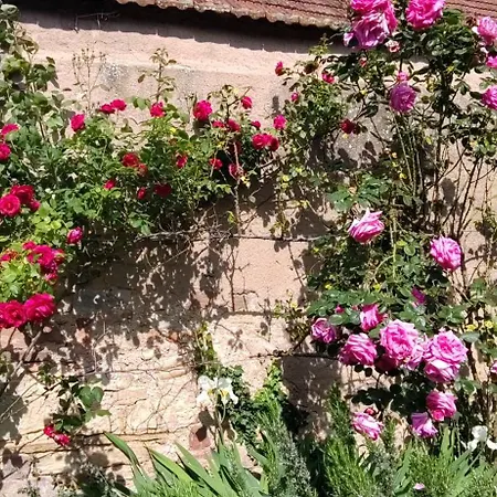 La Maisonnette Bleue, Eco-logis Equipe De Toilettes Seches * Rosheim